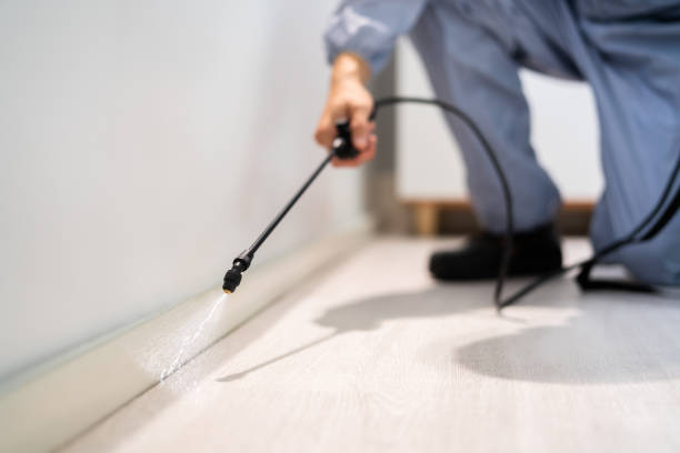 Licensed Pest Control service in West Park, CA - Show Me Pest Control