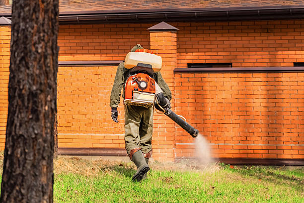 Bed Bug Clearance Verification and Documentation in West Park